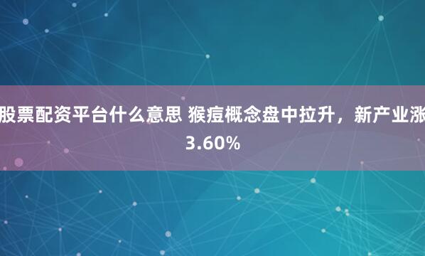 股票配资平台什么意思 猴痘概念盘中拉升,新产业涨3.60%