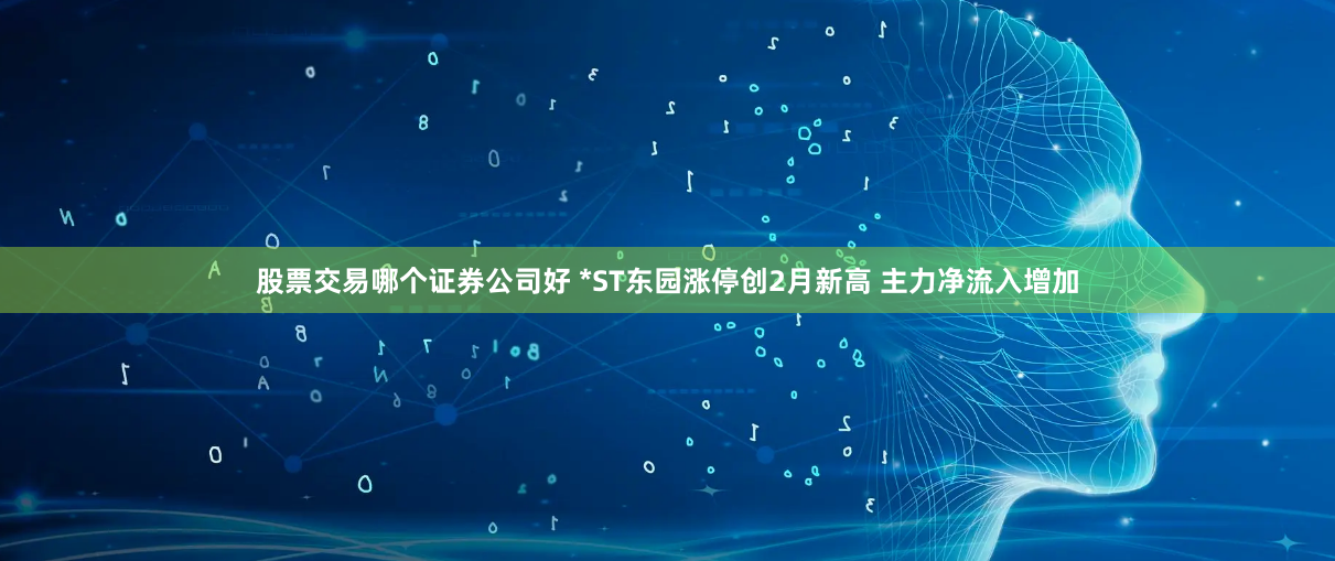 股票交易哪个证券公司好 *ST东园涨停创2月新高 主力净流入增加