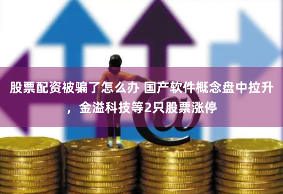 股票配资被骗了怎么办 国产软件概念盘中拉升，金溢科技等2只股票涨停