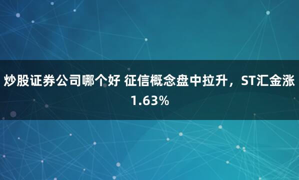 炒股证券公司哪个好 征信概念盘中拉升，ST汇金涨1.63%