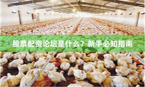 股票配资论坛是什么？新手必知指南